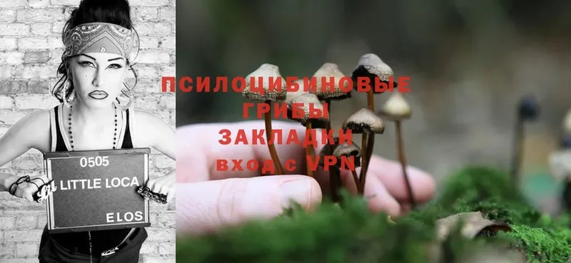 Галлюциногенные грибы Magic Shrooms  гидра зеркало  Тюмень 